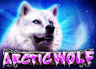 Arctic wolf