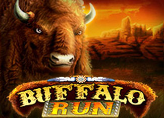 Buffalo Runs