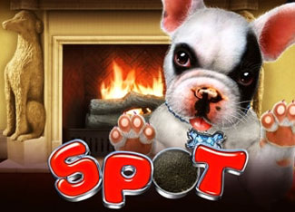 Spot