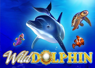 Wild Dolphin