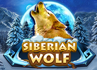 Siberian Wolf